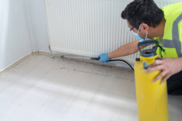 Best Affordable Pest Control Services  in Cheltenham Village, PA