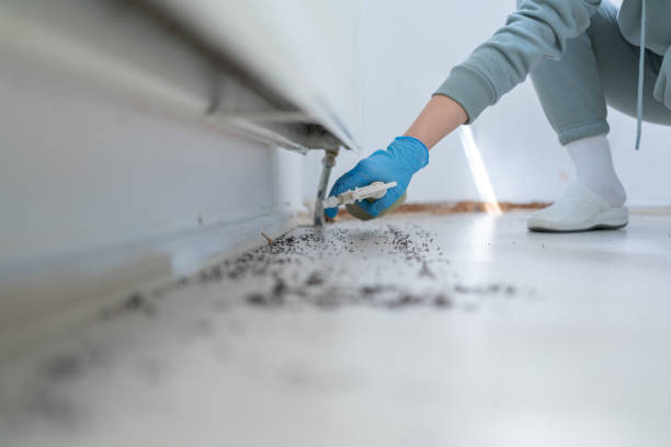 Insect Control in Cheltenham Village, PA